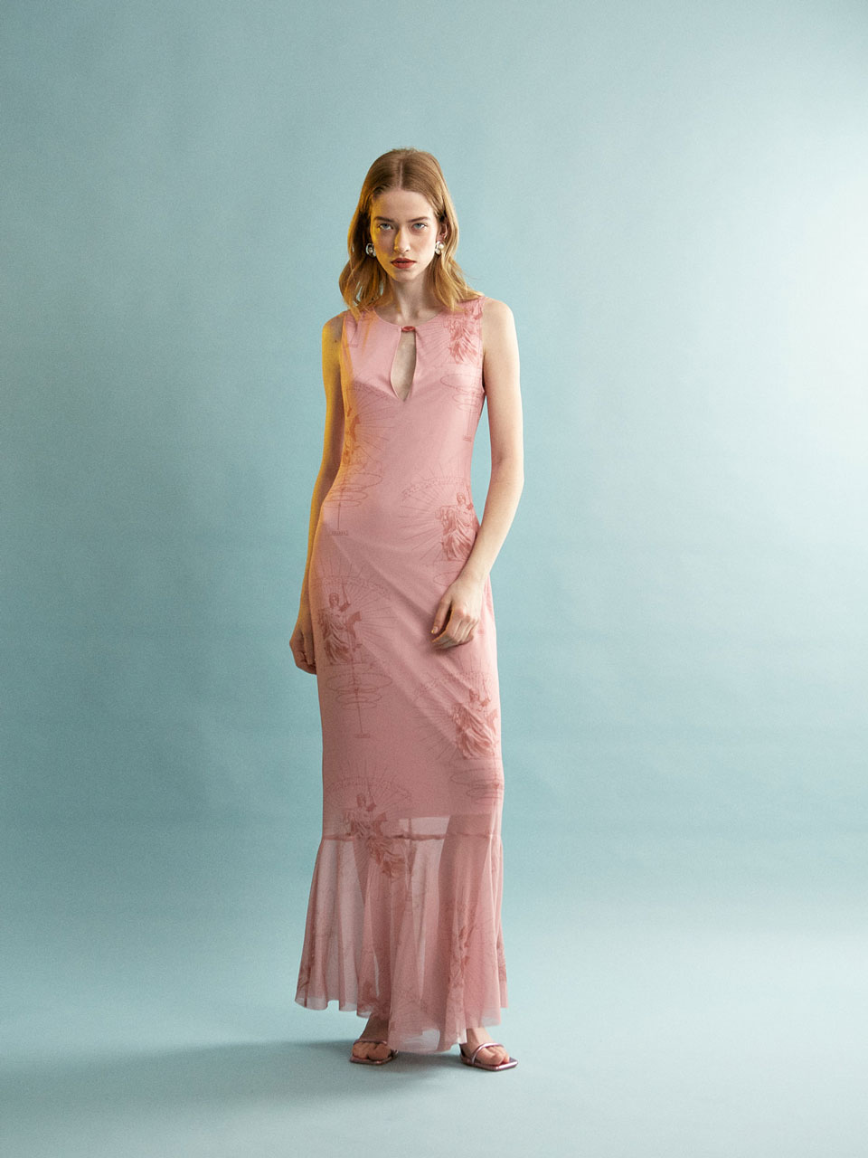 Ananke Mesh Printed Pink Dress