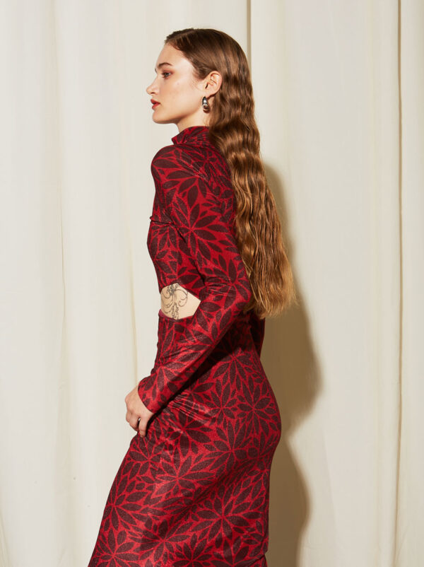 Ananke Isadora Velvet Dress